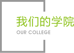 NG娱乐